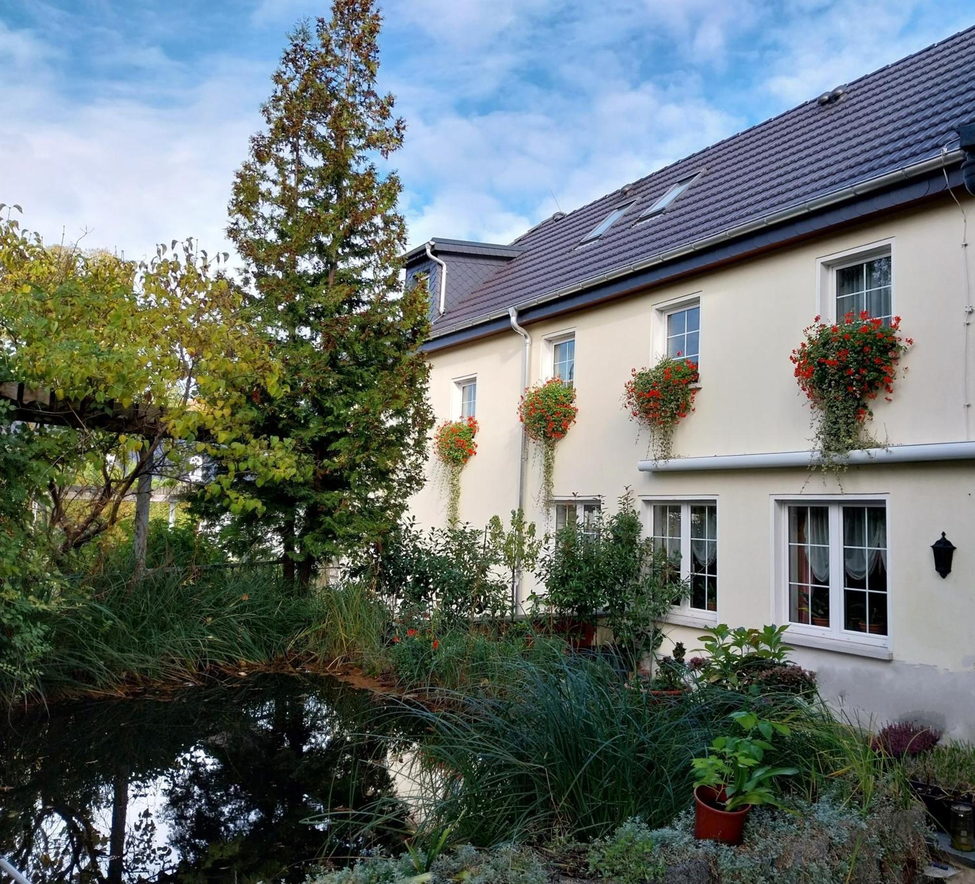 Ferienwohnung - Landhotel Waldschloesschen Sohland an der Spree Екстериор снимка